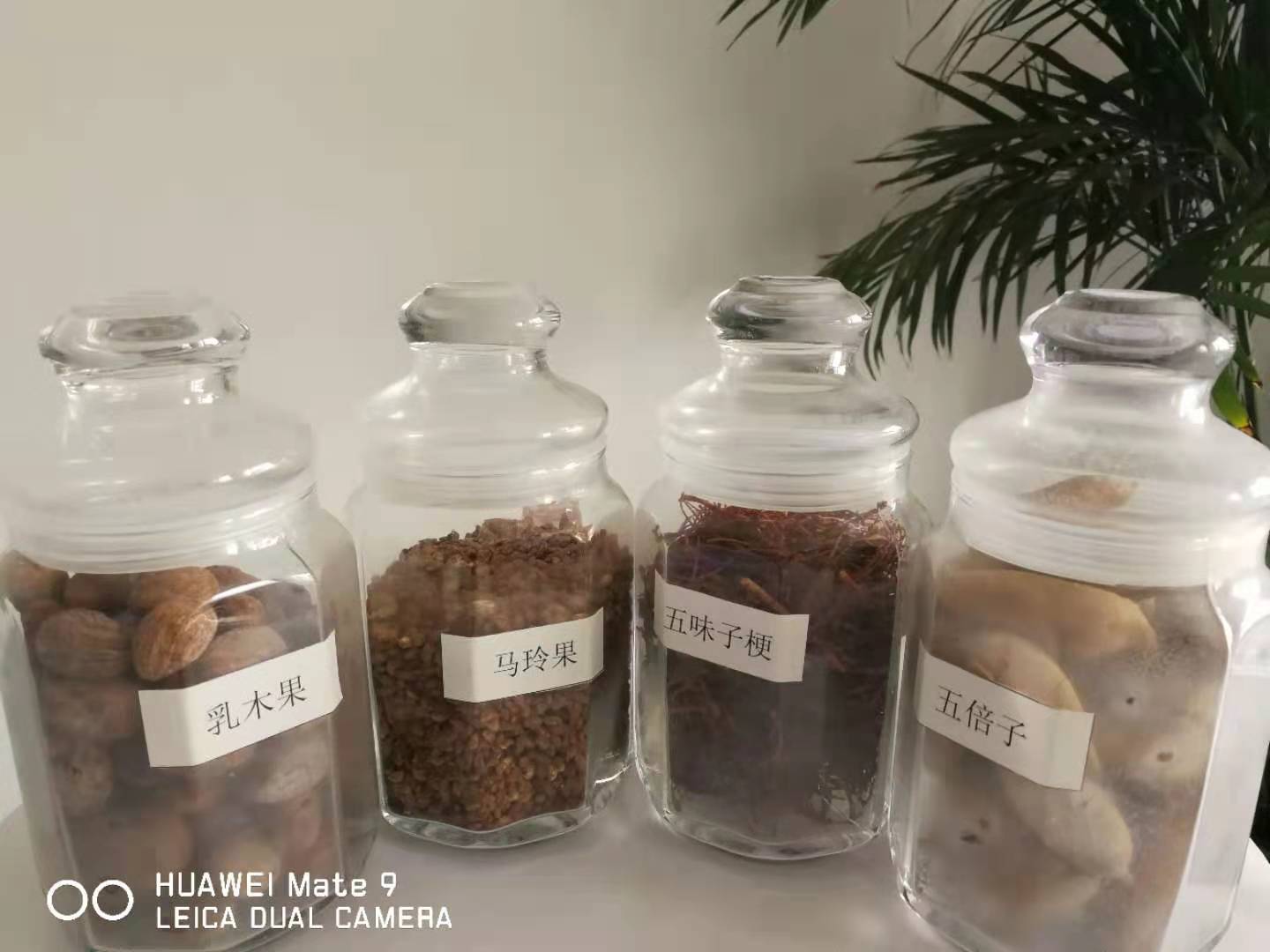 油茶籽油散油