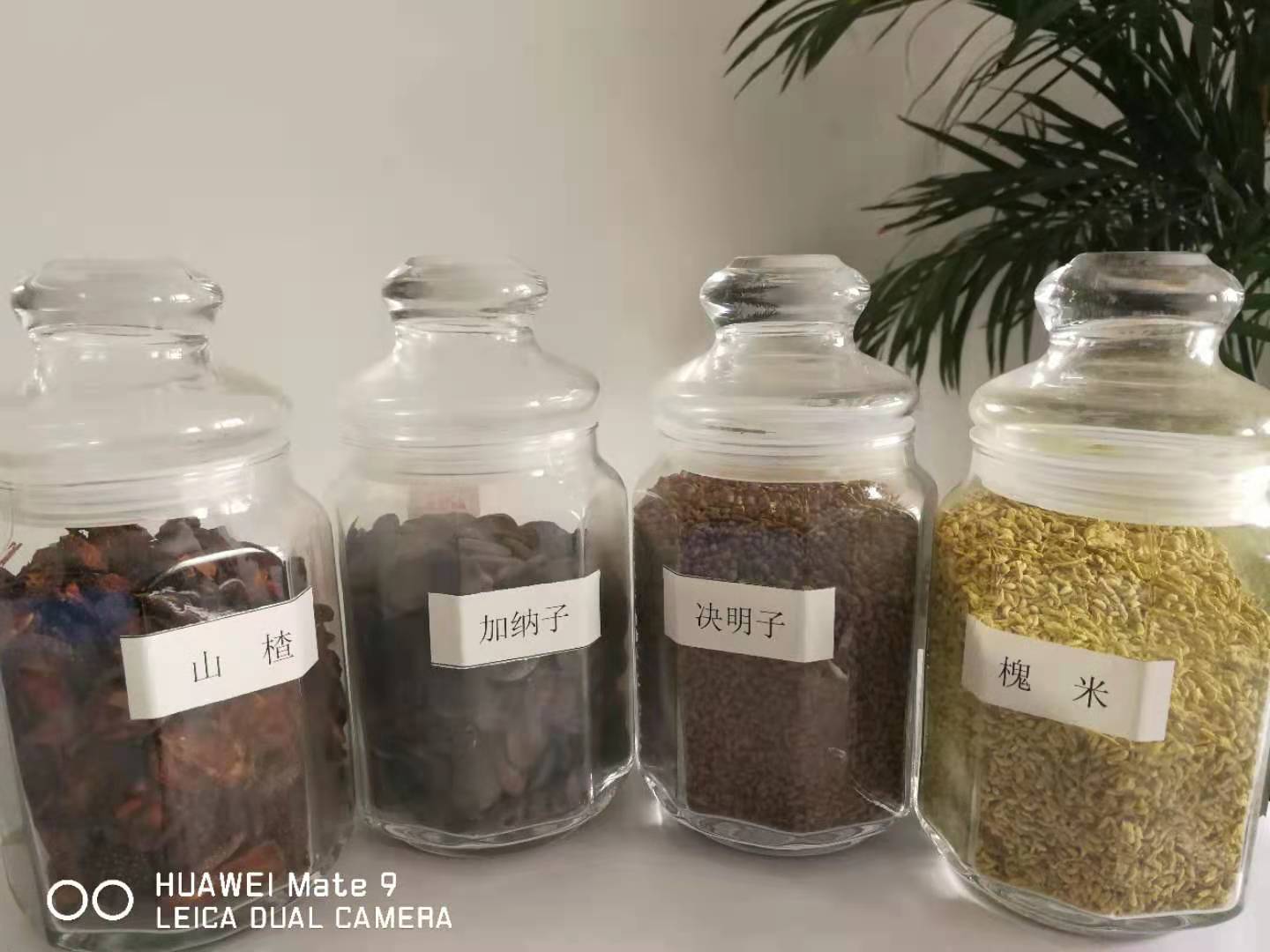 有機(jī)茶籽油散油